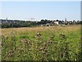 View towards Chippenham town centre