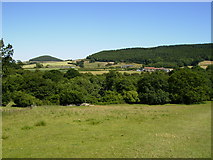 NZ4900 : View towards Whorl Hill Wood by Phil Catterall