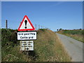 Cattle (and sheep) grid near Bedd Morris, North Pembrokeshire