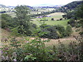 View from Cefnbryntalch