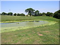 SJ2367 : Pond near Wat's Dyke by Eirian Evans