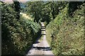 Steep Lane to Millendreath