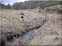 NT9046 : Runner in wooded valley by Andrew Spenceley