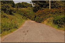 J5682 : Old Donaghadee road near Orlock by Albert Bridge