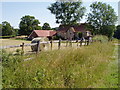 Near Heyshott Green in July 06 heatwave