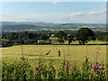 Farmland east of Muthill