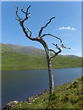 NN2141 : Loch Dochard by Andrew Smith