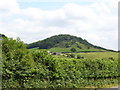 Twinhills Wood from Prospect Farm