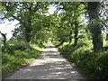 S6239 : Lane to Kilcullen near Inistioge, Co. Kilkenny by Humphrey Bolton