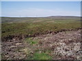 NT6160 : Edge of newly burnt moorland by Adam Ward