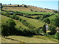 Farms near Bwlchyddar