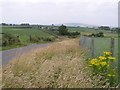 Lisdiven Upper Townland