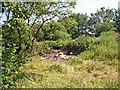 NY2656 : Waste land near Studholme by Oliver Dixon
