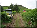 Plant vrs Bracken