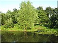 Pond at Bosmere Farm