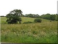 Laganagalloglagh Townland