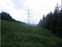 NN2325 : Pylon line and forest by Andrew Spenceley