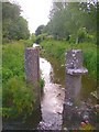 S2134 : Penstock posts in the stream, Fethard, Co. Tipperary by Humphrey Bolton