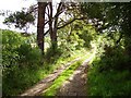 NH4856 : Beallachnagore track by Richard Webb
