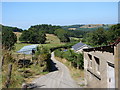 Country lane at Gors