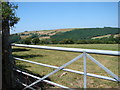 Gate & field near Llanfihangel-y-Creuddyn