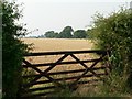 The Gate Into The Barley Field