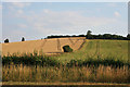 Farmland near Tugby