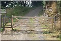 Gate Entrance to Parc Mawr