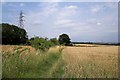 Fields North of A632