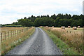 Sampford Courtenay: towards Hatherton