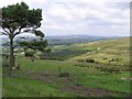 Knockbrack Townland