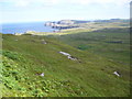 Looking N from eastern slopes of Ben Laimishader