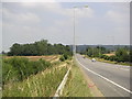 Galley Lane Spinney