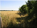 Bridleway to Branton