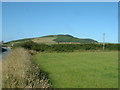 SH2133 : Farmland near Mynydd Cefnamwlch by David Medcalf