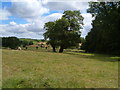 Field near Fallapit House