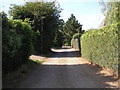 Bridleway near Garfield Farm, Surrey