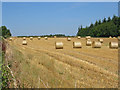 Straw bales