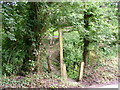 Footbridge and path at Coxford