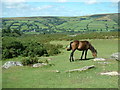 Widecombe in the Moor from On High