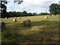 Farmland near Byers Lane, Surrey