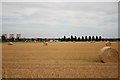 Farmland near Rampton