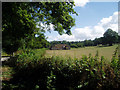 Fields at Stony Hard Farm