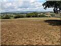 View from Barns Farm