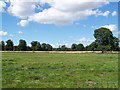 Fields in Kinnaird Park