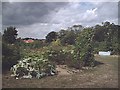 Allotments - Edwards Hall Park