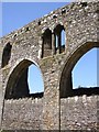 S7115 : Clerestory, Dunbrody Abbey, Co. Wexford by Humphrey Bolton