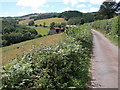 Lane past Brook House Farm