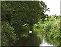 River Lee near Wheathampstead