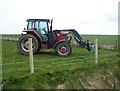 New fencing on Stronsay